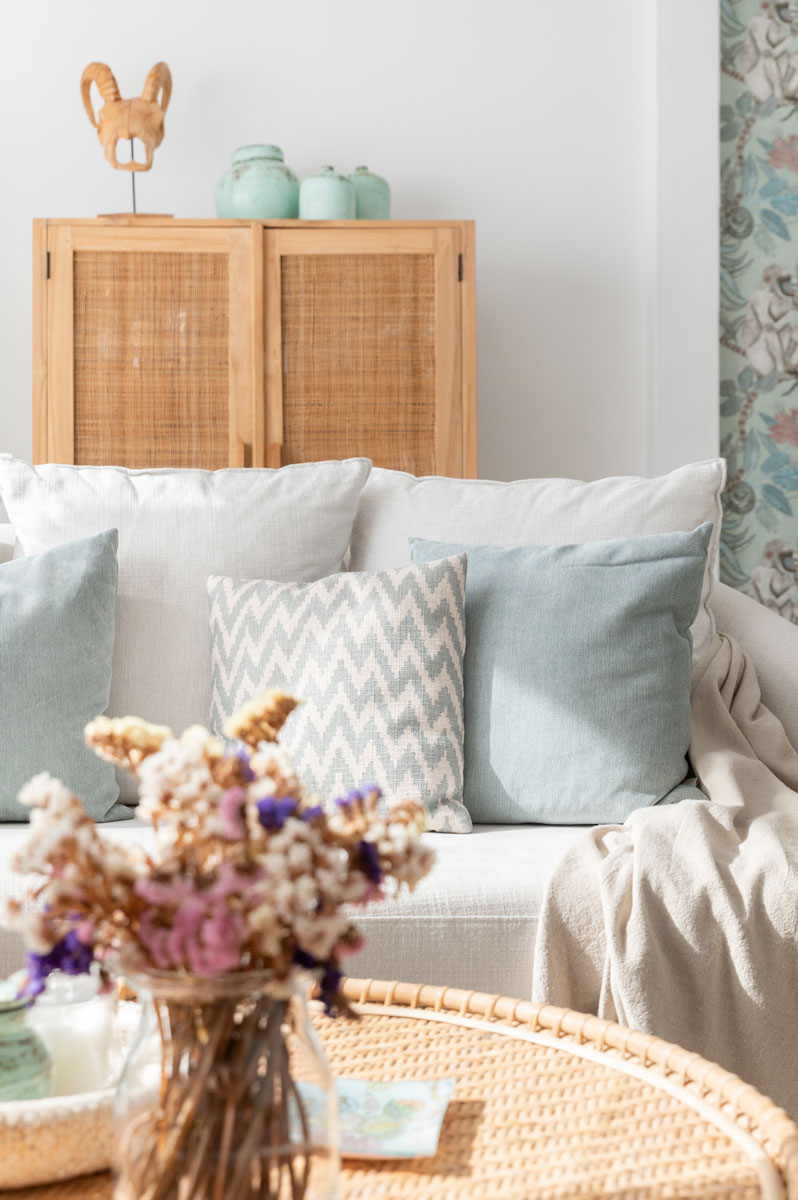 alexia proyecto decoracion